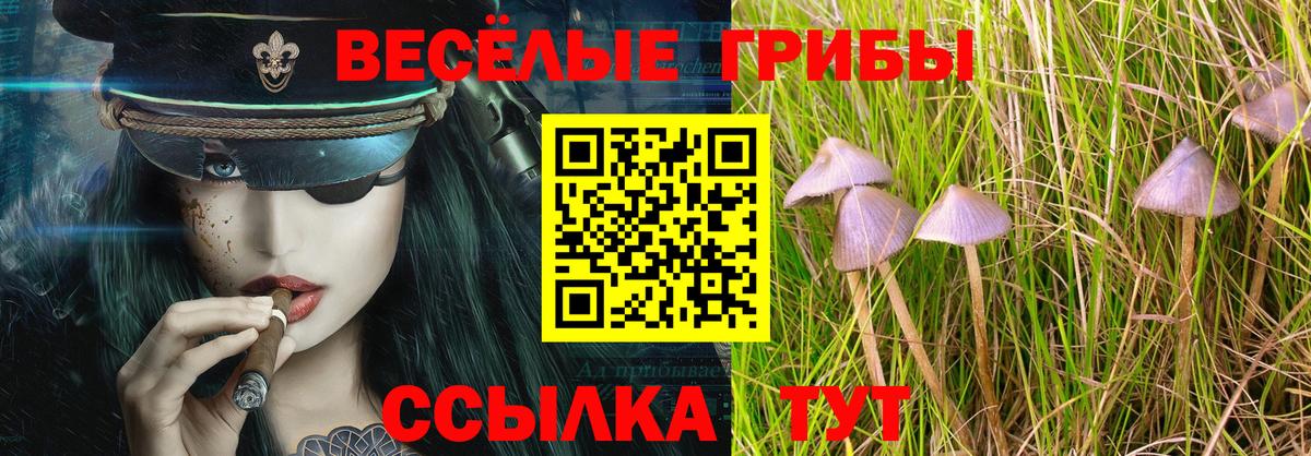 Сальск  Галлюциногенные грибы GOLDEN TEACHER  Вход с VPN 