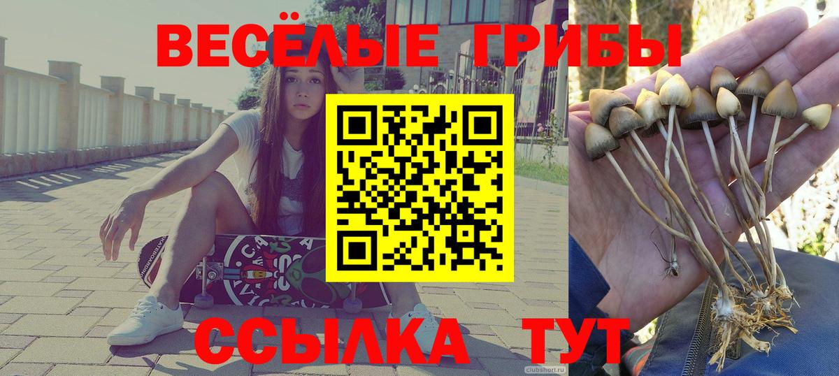 Псилоцибиновые грибы GOLDEN TEACHER Сальск